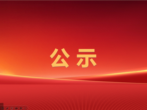 辰龍集團(tuán)級(jí)索煤礦2024年四季度較大及以上安全風(fēng)險(xiǎn)管控清單